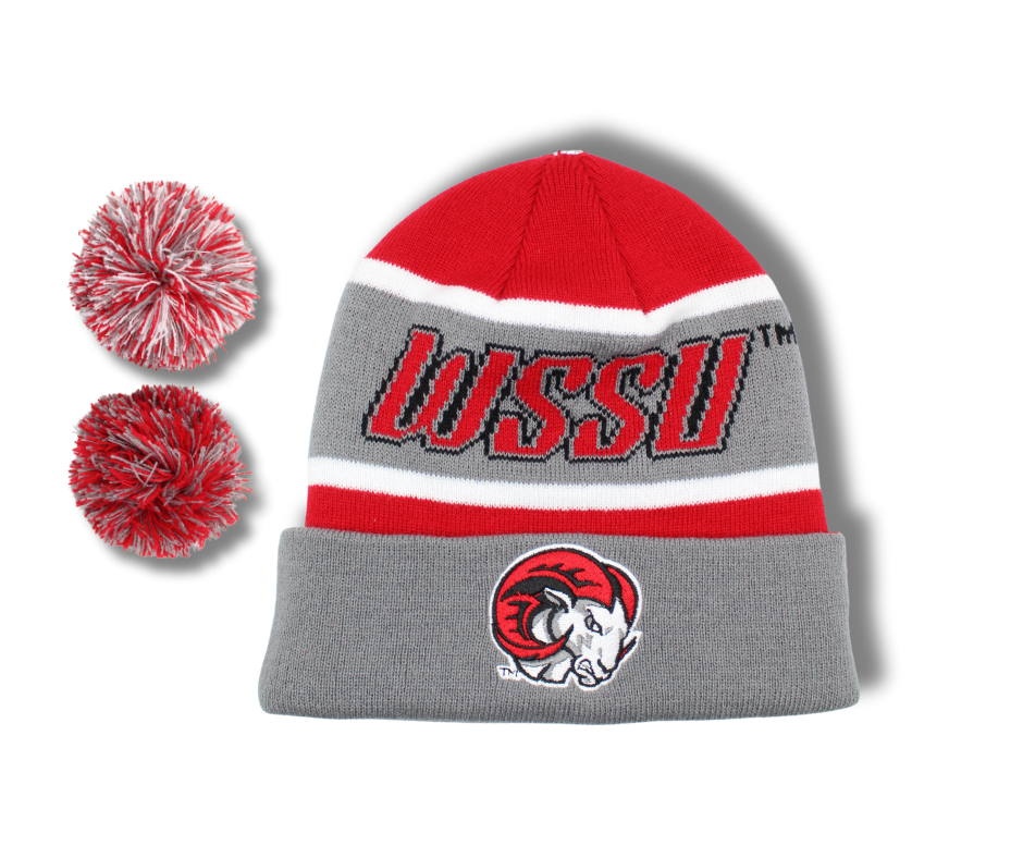 Winston-Salem State Pop ‘n’ Swap Satin Beanie