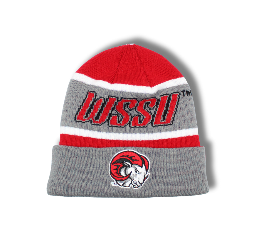 Winston-Salem State Pop ‘n’ Swap Satin Beanie