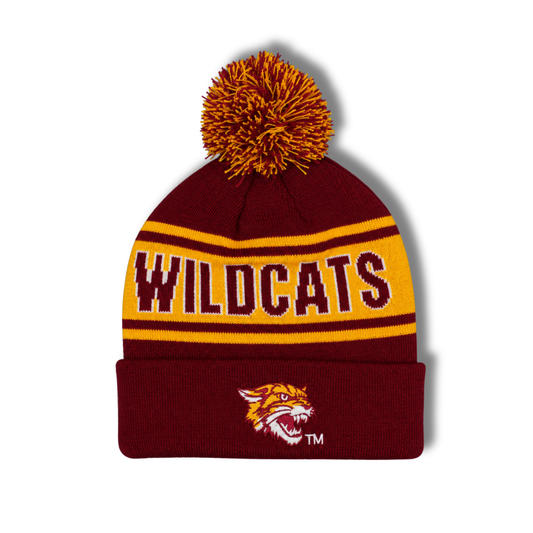 Bethune - Cookman Pop 'n' Swap Satin Beanie