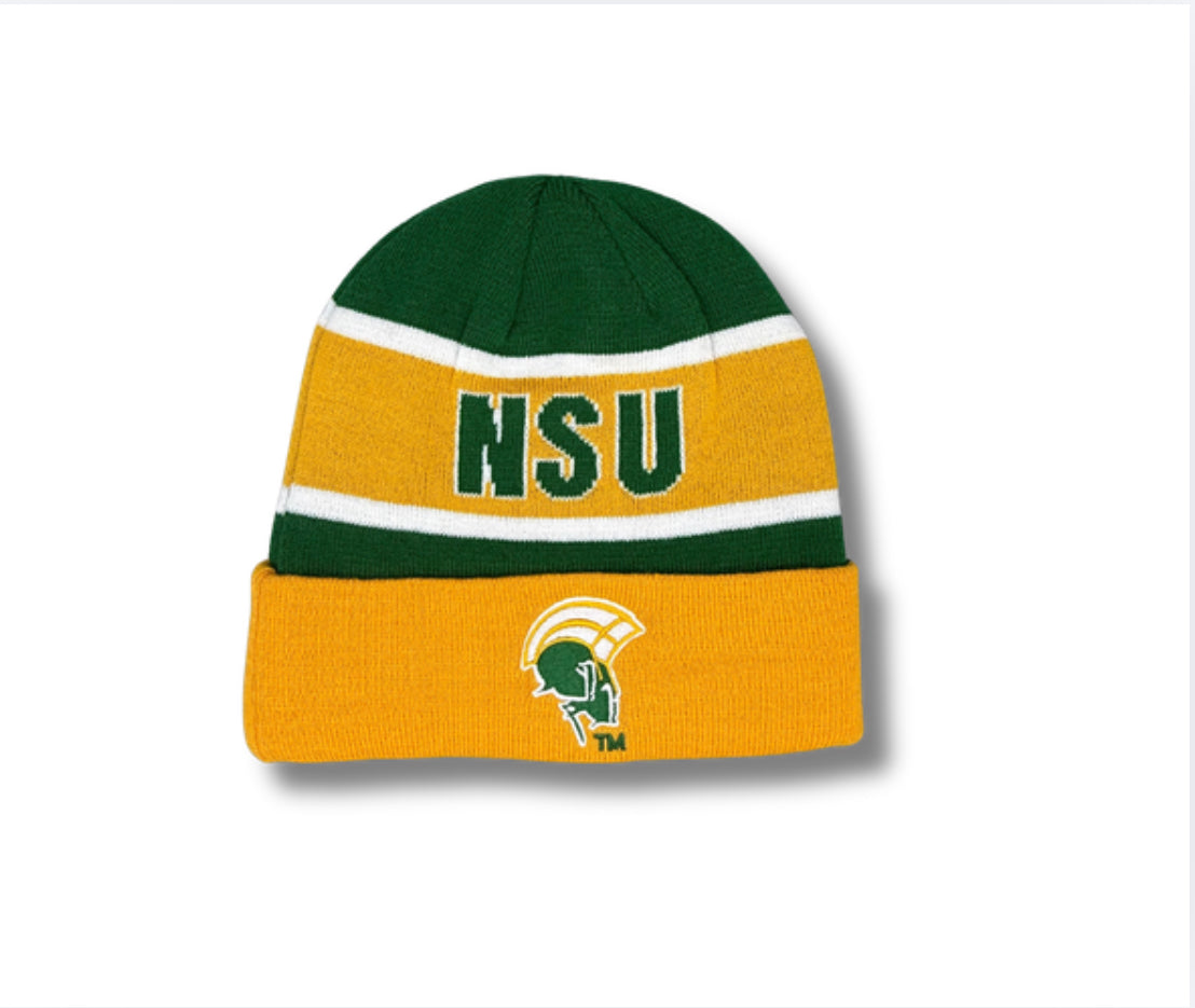 Behold Satin Beanie